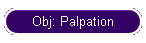 Obj: Palpation