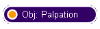 Obj: Palpation